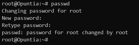 Screenshot of the password being changed from the command line.