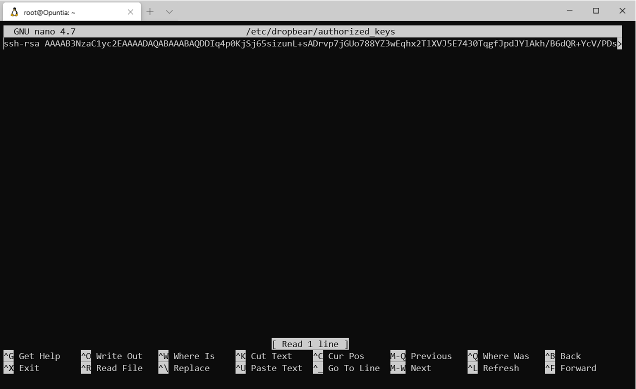Screenshot of adding a key using nano on the command line